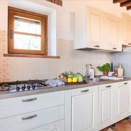 Olive House Tuscany - Zona Pisa Calci Dış mekan fotoğraf