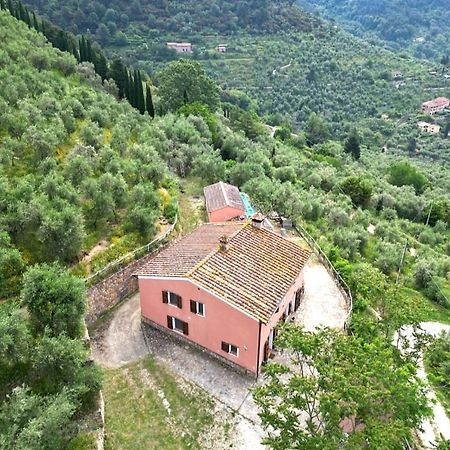 Olive House Tuscany - Zona Pisa Calci Dış mekan fotoğraf