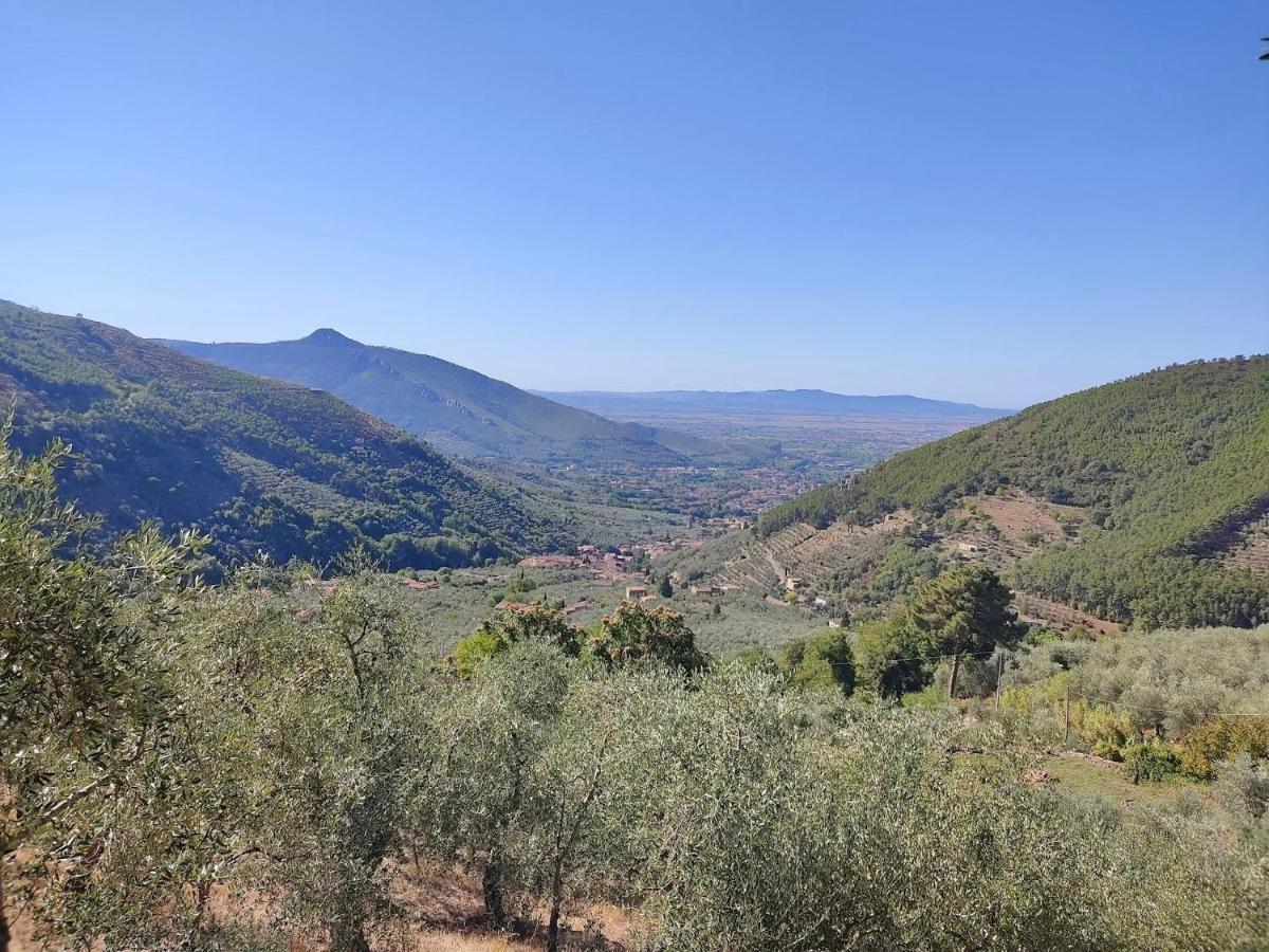 Olive House Tuscany - Zona Pisa Calci Dış mekan fotoğraf