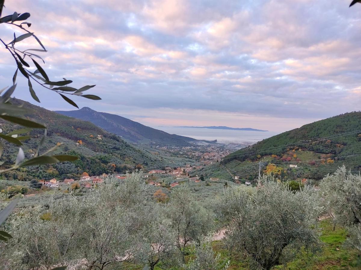 Olive House Tuscany - Zona Pisa Calci Dış mekan fotoğraf