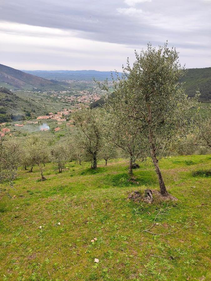 Olive House Tuscany - Zona Pisa Calci Dış mekan fotoğraf