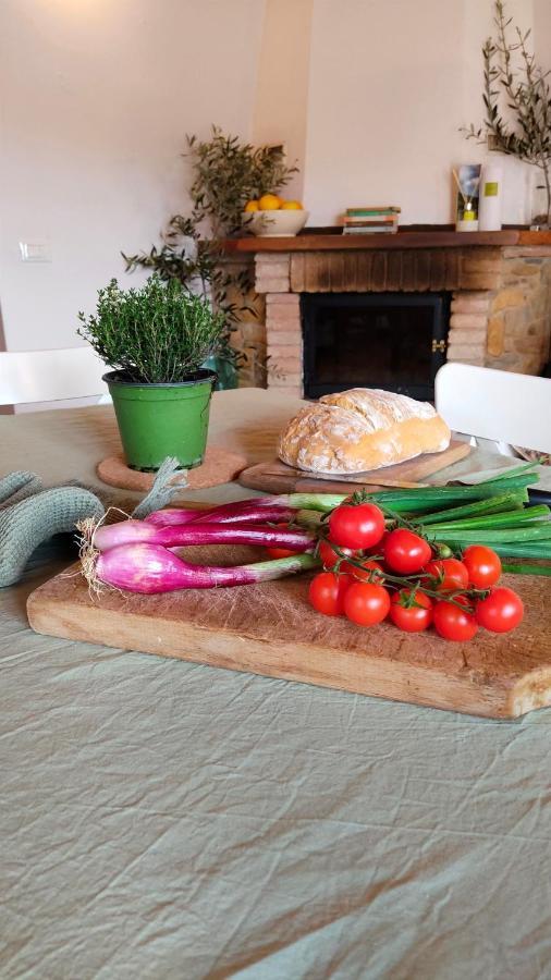Olive House Tuscany - Zona Pisa Calci Dış mekan fotoğraf
