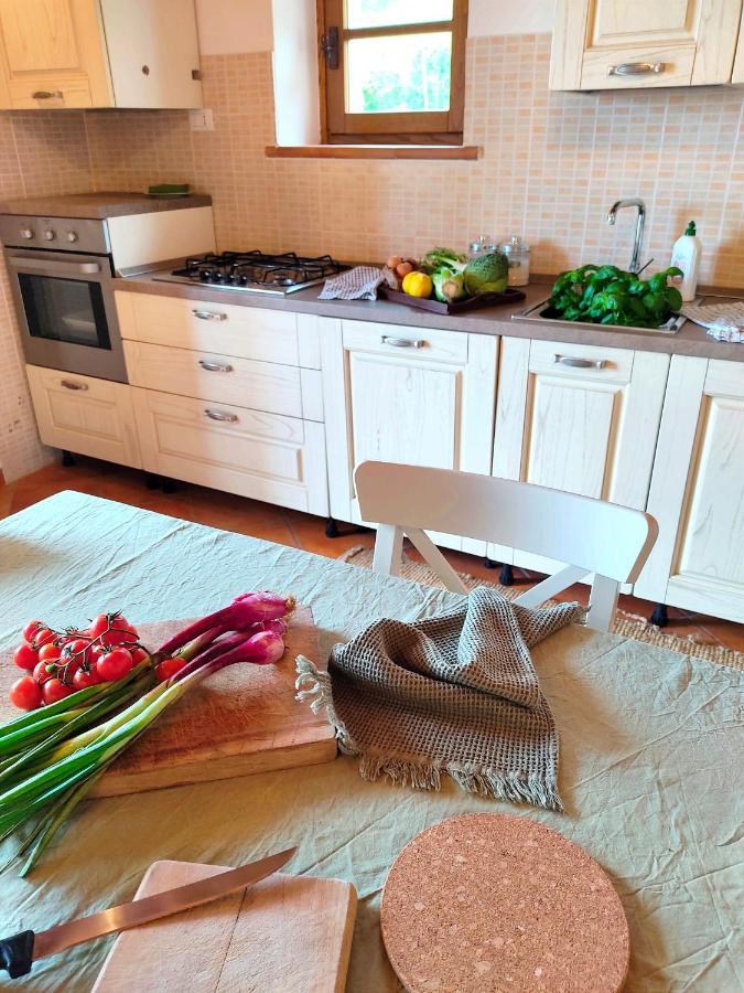 Olive House Tuscany - Zona Pisa Calci Dış mekan fotoğraf