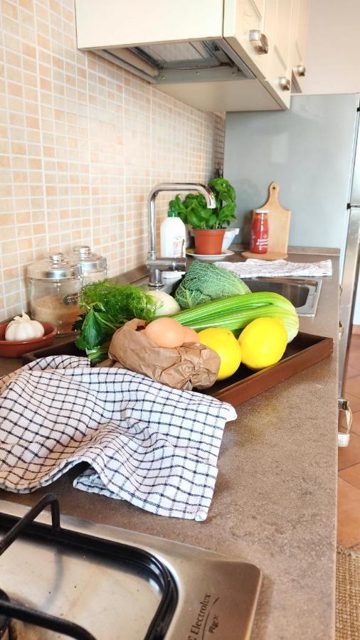 Olive House Tuscany - Zona Pisa Calci Dış mekan fotoğraf