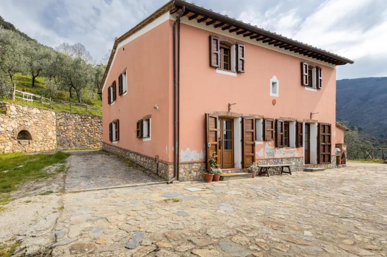 Olive House Tuscany - Zona Pisa Calci Dış mekan fotoğraf