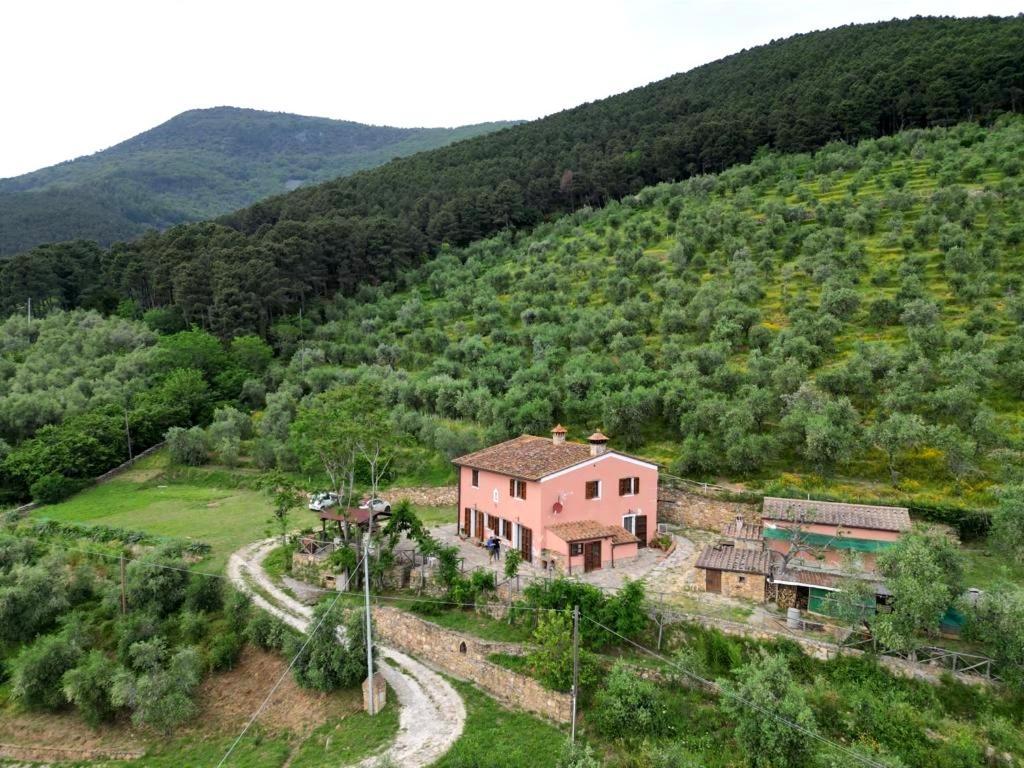 Olive House Tuscany - Zona Pisa Calci Dış mekan fotoğraf