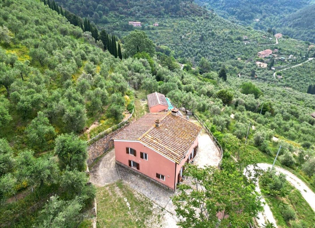 Olive House Tuscany - Zona Pisa Calci Dış mekan fotoğraf